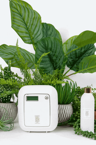 How to Make Your House Smell Clean (Without Cleaning): Blondie Mini Diffuser Guide