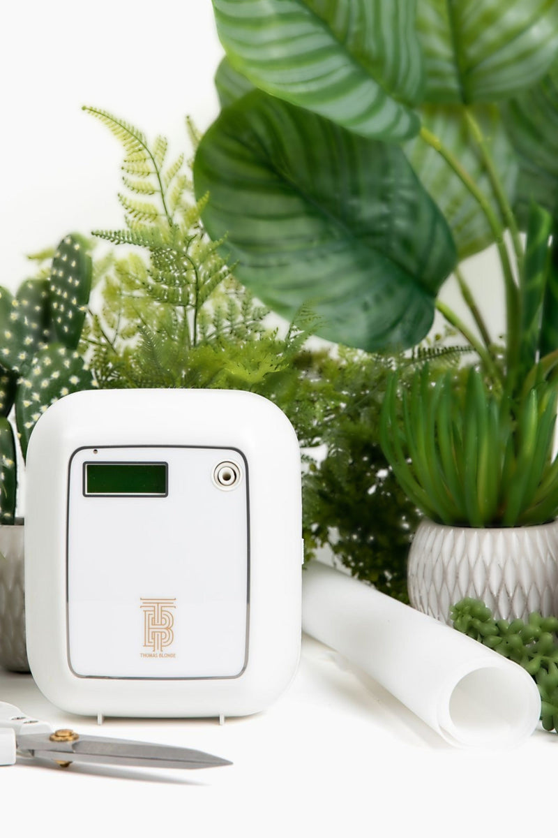 Cuttable Diffuser Mat – Thomas Blonde